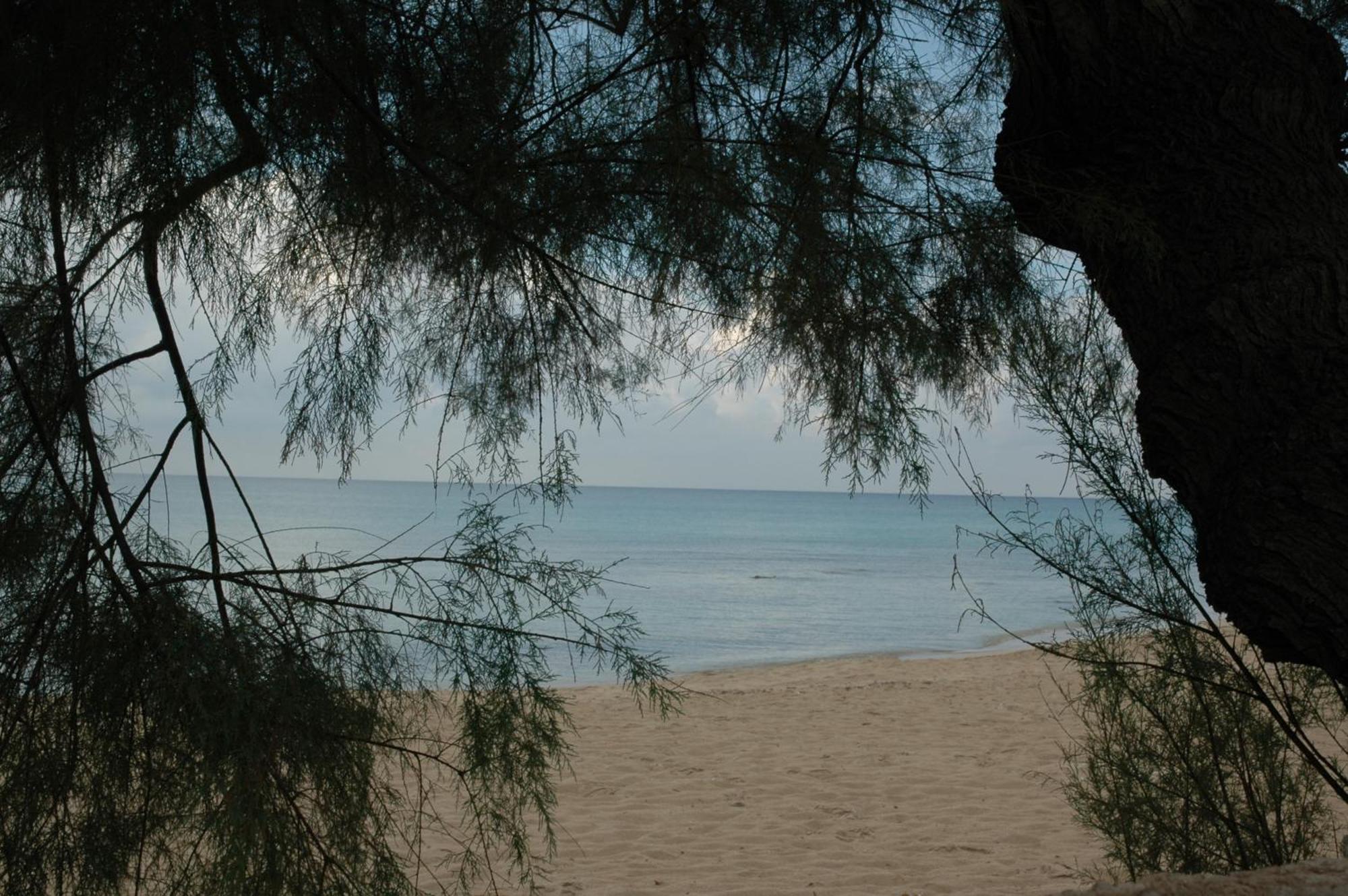 Hotel Costa D'Oro Torre Ovo Εξωτερικό φωτογραφία
